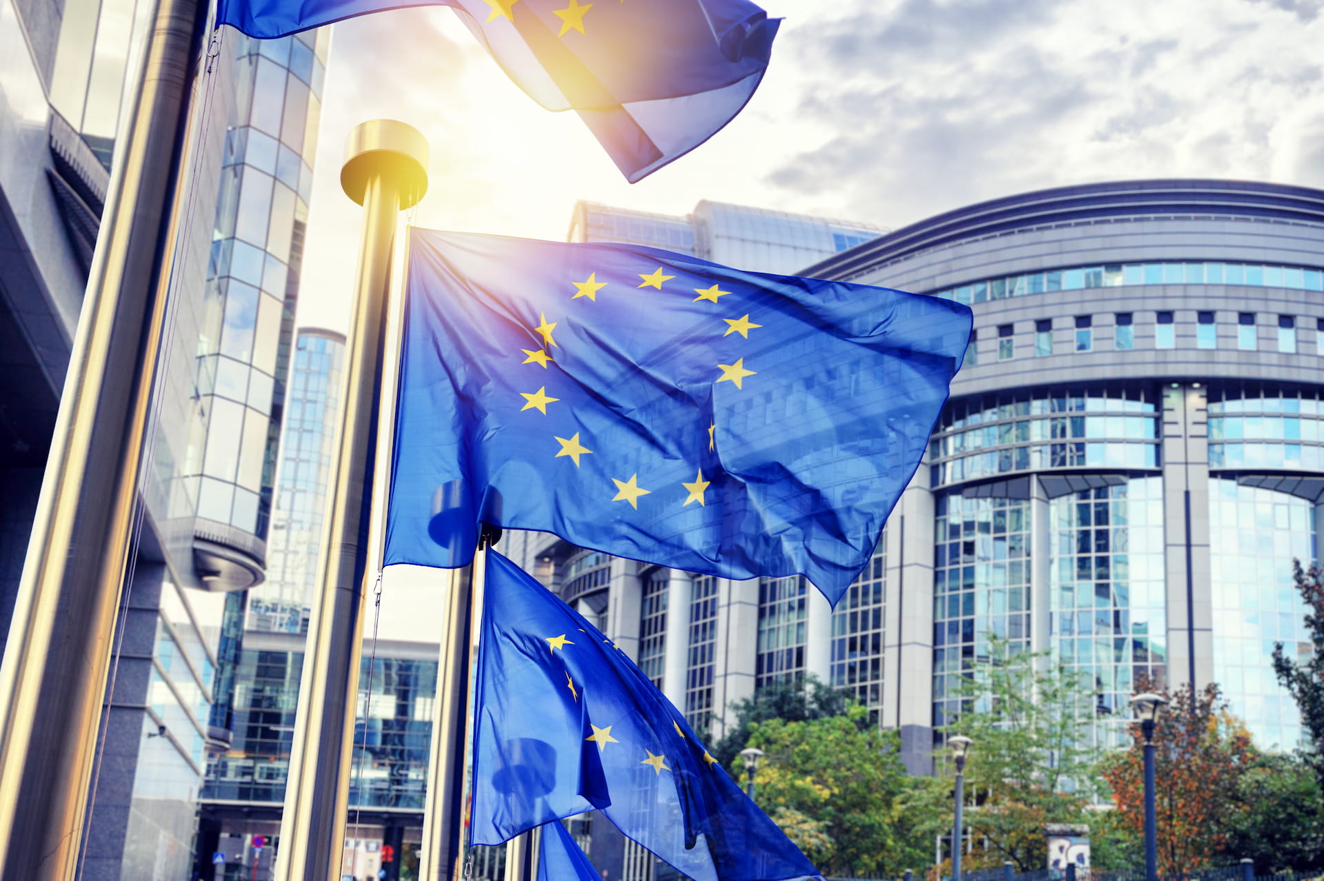 Co powinieneś wiedzieć o Unii Europejskiej? Pigułka najważniejszych zagadnień